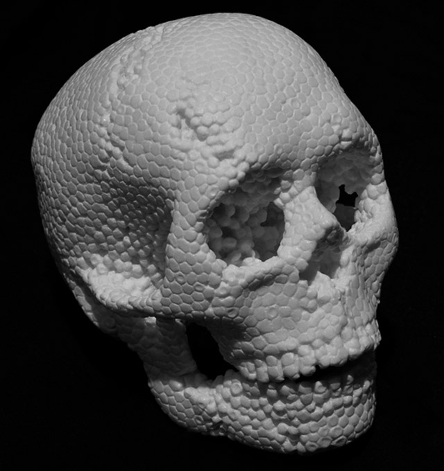 skull