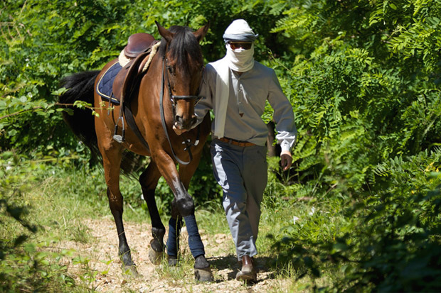 camo-2010-spring-summer-horses-1