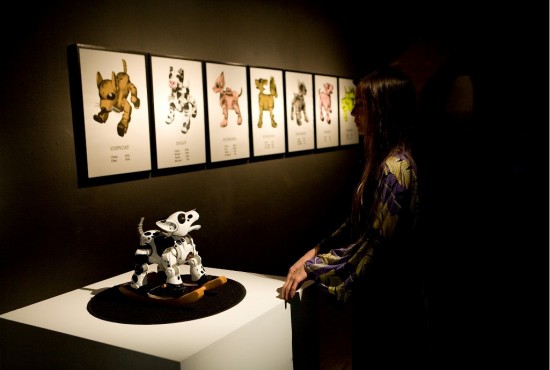 Sonarmatica Sonarmatica