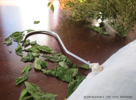 tumblr_l6zfusIwme1qc4ce4