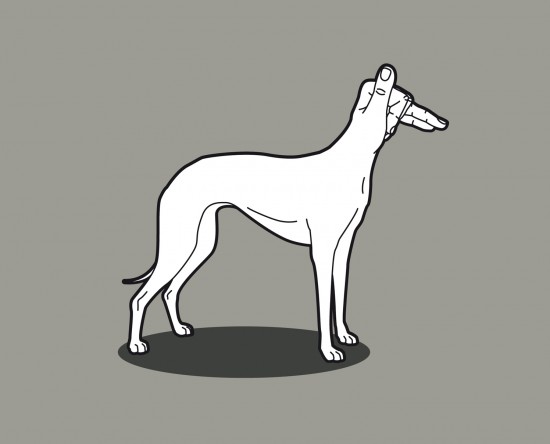 Stefano Baracetti, Handimals, serigrafia