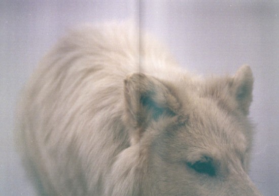 We Are Not Made To Last