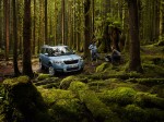 gallery_Yeti_02