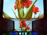 Last Call for Pipilotti Rist