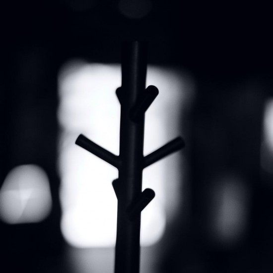 206082_3854002562978_1714335137_n