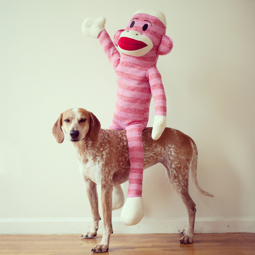 tumblr_metw4aNJn01r9164to1_500