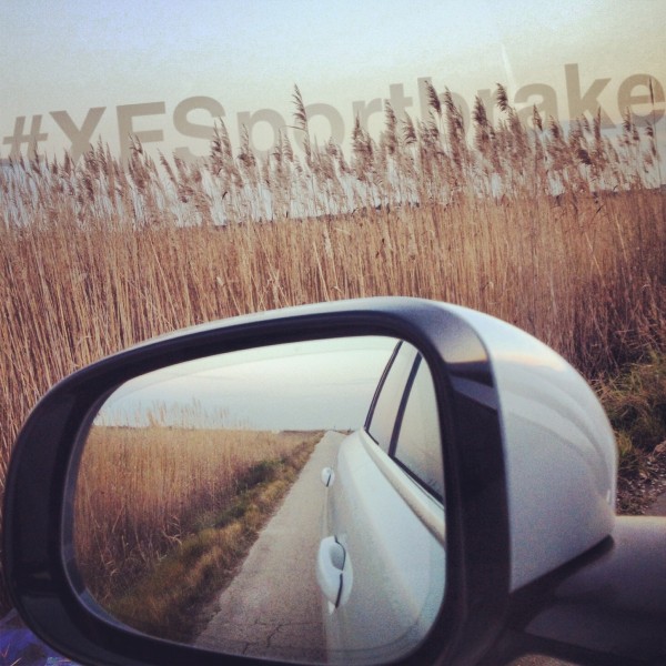 Foto 18-02-13 14 16 29