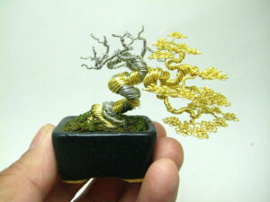bonsai-1