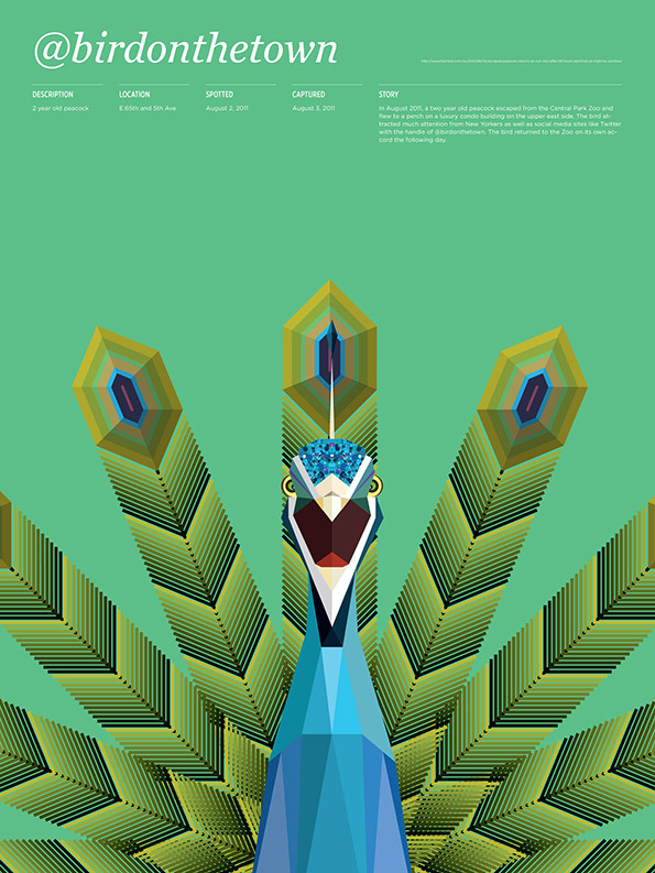 Animals_Loose_Birdonthetown