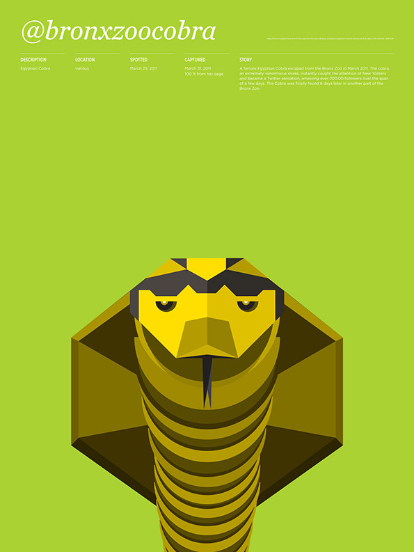 Animals_Loose_bronxzoocobra