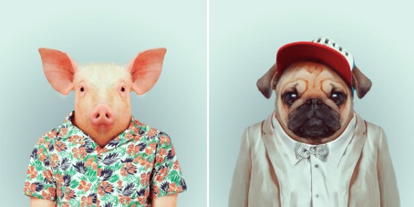 FashionZoo-polkadot1