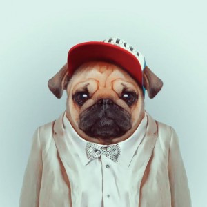FashionZoo-polkadot11