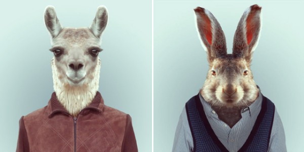 FashionZoo-polkadot3