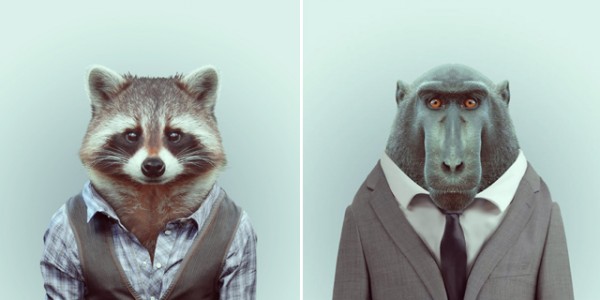 FashionZoo-polkadot5