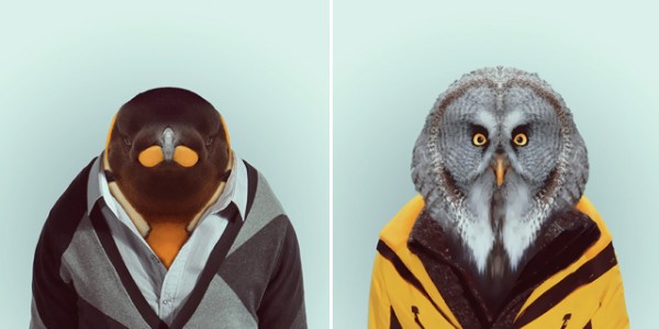 FashionZoo-polkadot6