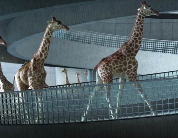 Nicolas-Devaux-5m80-3