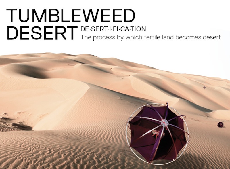 Tumbleweed-Desert-Shlomi-Mir
