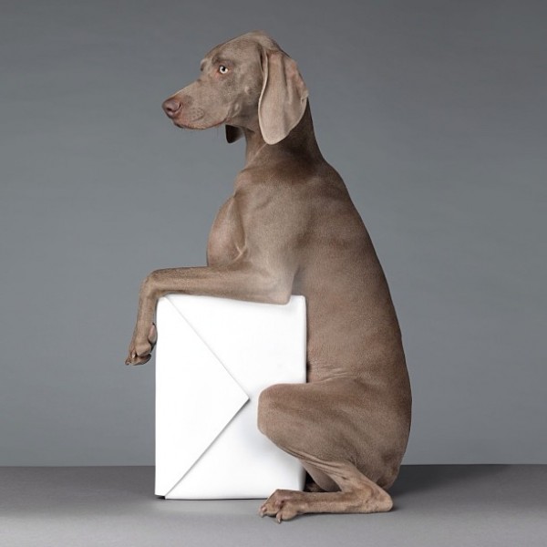 acne-accessories06-600x600