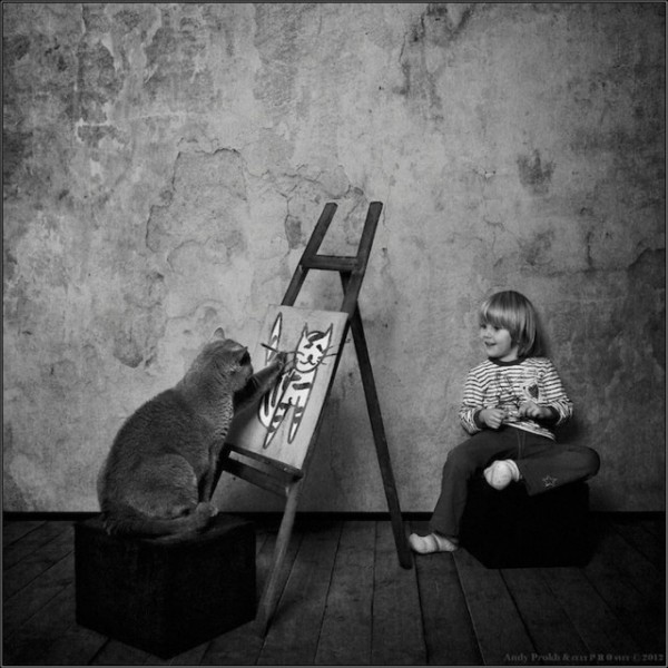 polkadot_cat_child12-640x640