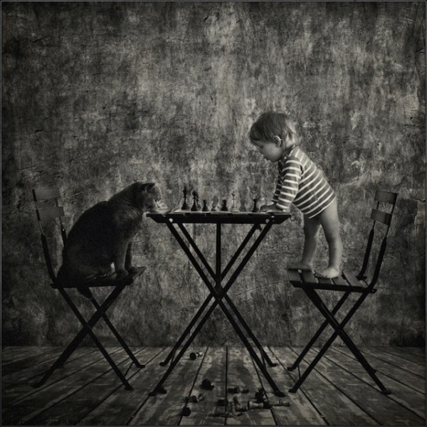 polkadot_cat_child15-640x640