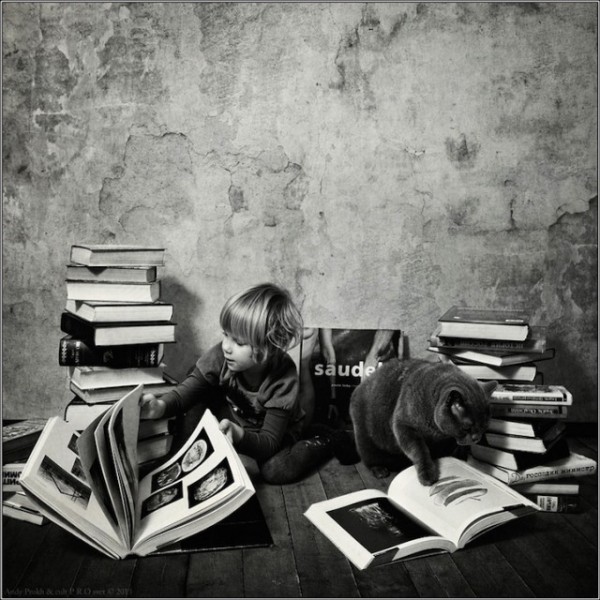 polkadot_cat_child18-640x640