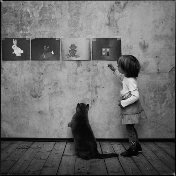 polkadot_cat_child2-640x640