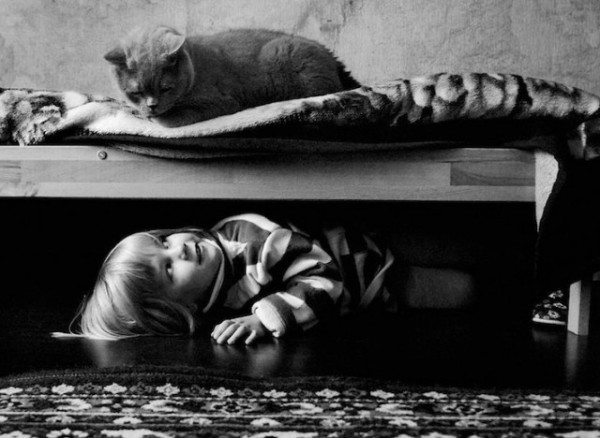 polkadot_cat_child20-640x468