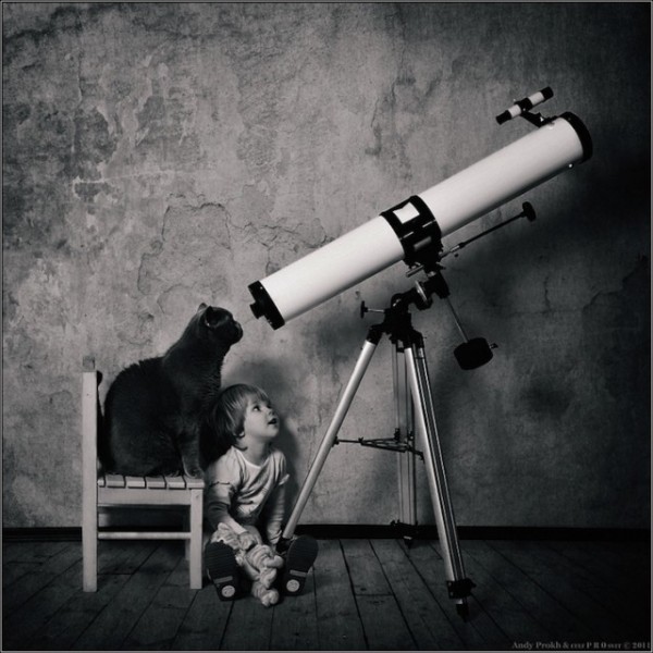 polkadot_cat_child9-640x640