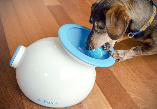 iFetch-Automatic-Ball-Launcher-for-Dogs-1
