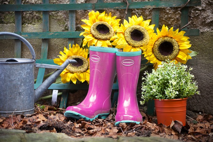 Gardening1tournesols