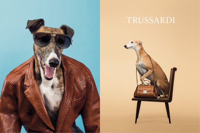 TR-ASS14-adv double website-HR2