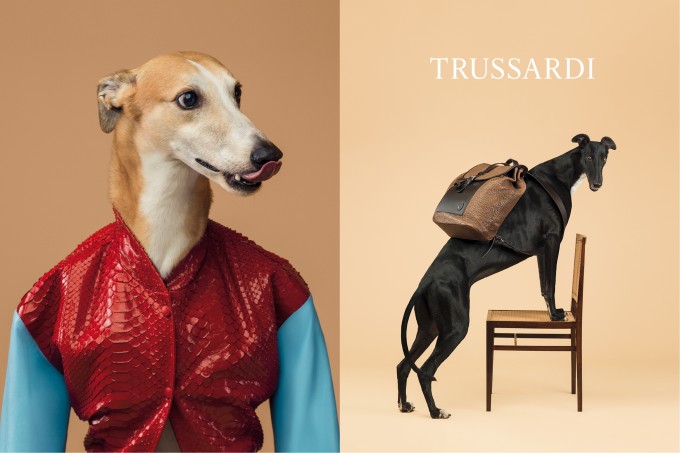 TR-ASS14-adv double website-HR3