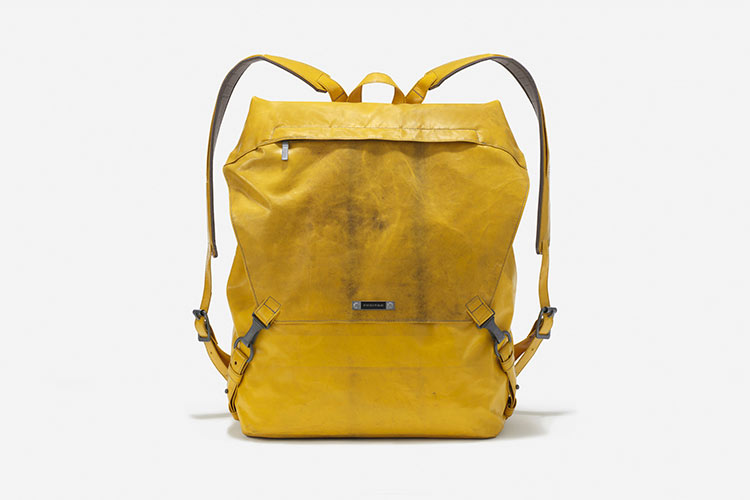 R521_Coolidge_yellow_Alder_RGB_gallery