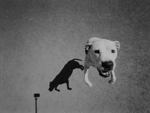 Schermata 2014-10-14 a 12.34.19