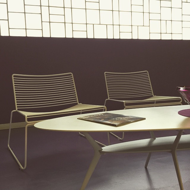 10986154_1563711473886254_2013888674_n