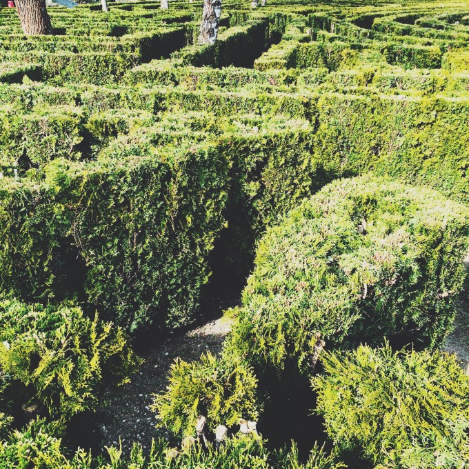 Processed with VSCOcam with f2 preset