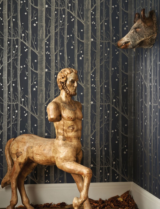 cole-son-whimsical-woods-stars-cropped