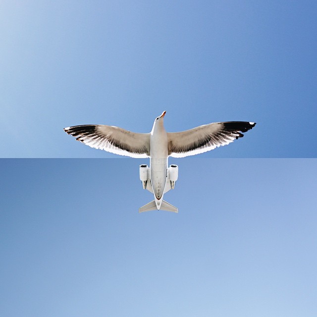 tumblr_nqa06e6bFH1s6ziw6o1_1280