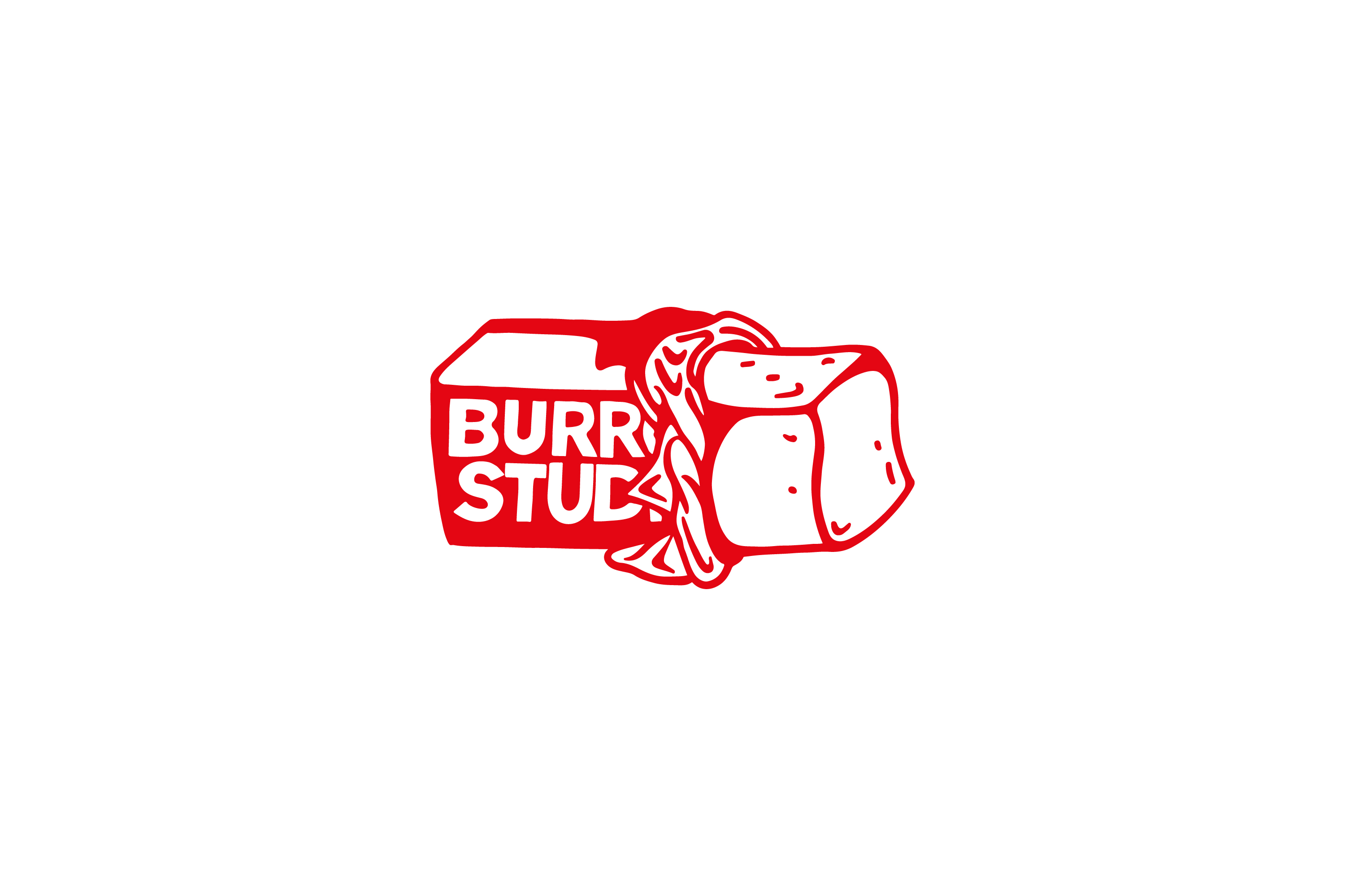 BURRO STUDIO