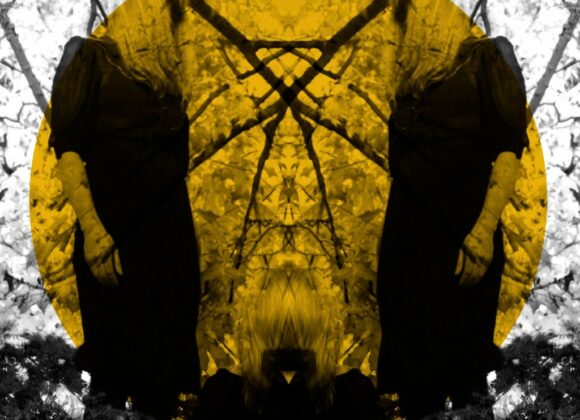 Austra/Feel it Break Austra/Feel it Break 2011