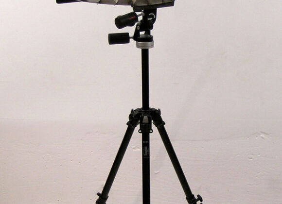 Perspective in perspective 10-Vision