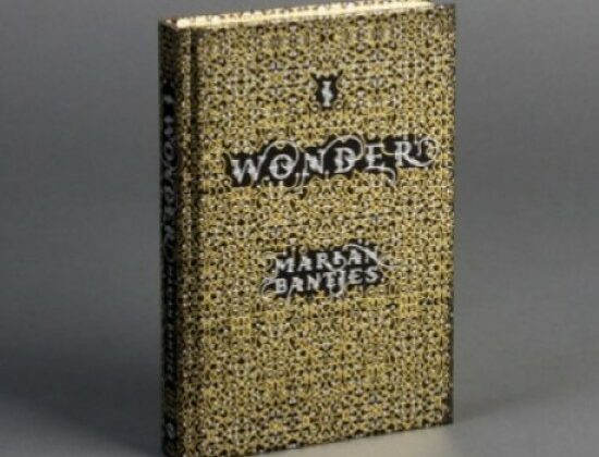 I Wonder. Do you? I Wonder_Cover