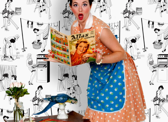 DuPenny housewives-picture-halfscale
