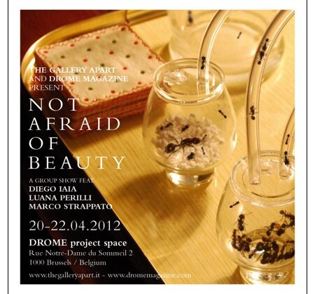 Not Afraid of Beauty...in Bruxelles DROME_NAOB_invite_FR