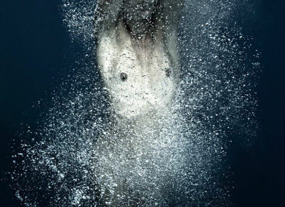 Polkadot x Date Hub|Daniel Balda fa8c6873d71166f18f3f4b512f53b607