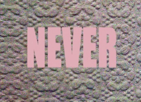 Micachu & The Shapes say NEVER Micachu And The Shapes 'Never'_jpg_630x649_q85