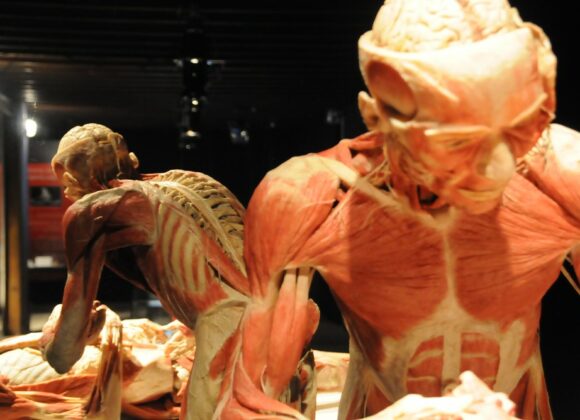 Body-Worlds