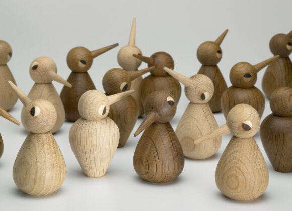 Story North BIRD meeting