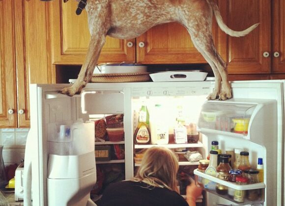 Maddie on things original-1