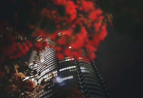 SHANE VINCENT - TOKYO pink-flower